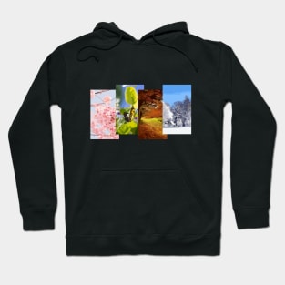 4 seasons Hoodie